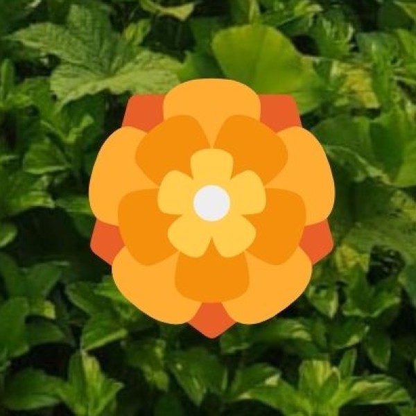 Mount Abu Wildlife Sanctuary – A Green Retreat