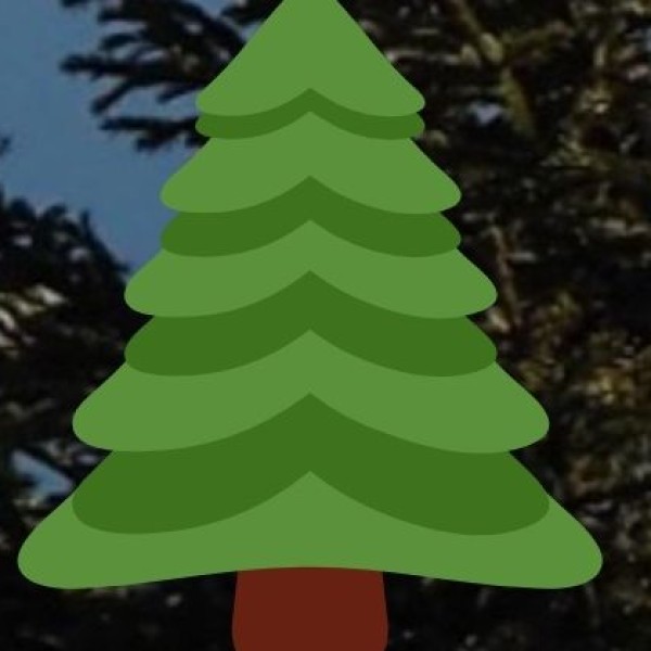 Guindy National Park – Chennai