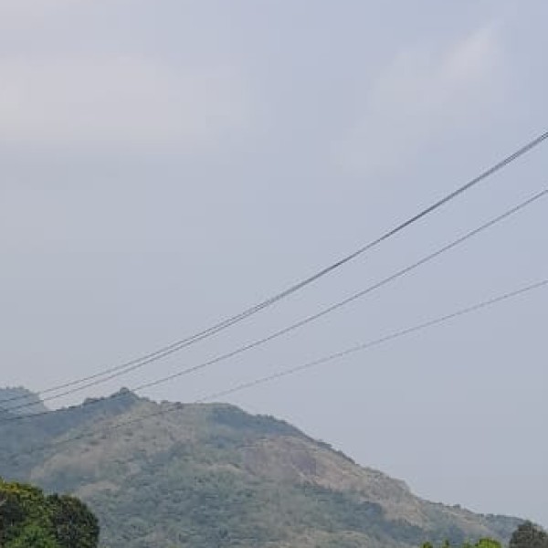 Wildlife & Nature in Sikkim