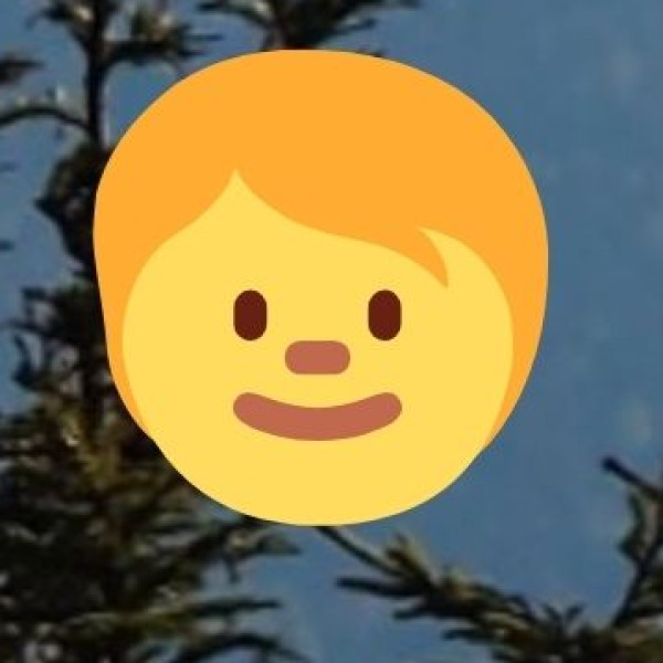 Mahananda Wildlife Sanctuary – A Birdwatcher’s Paradise