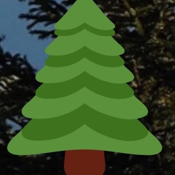 Best Eco-Tourism Spots in Kerala