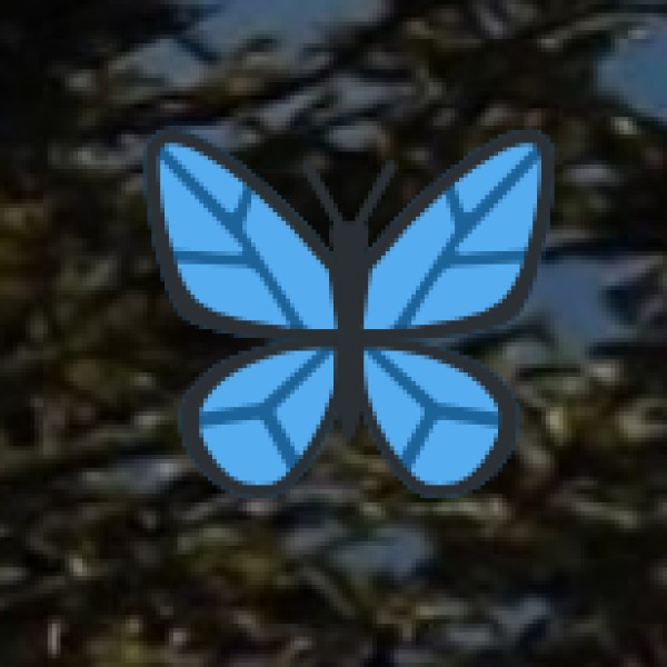 Gulf of Mannar Marine National Park