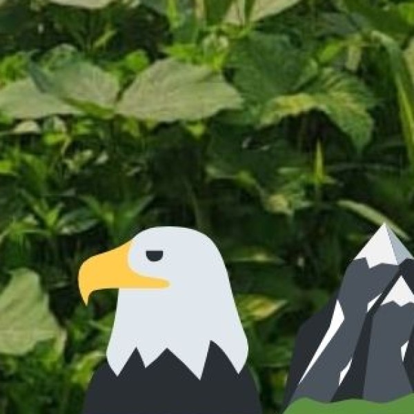 Surinsar-Mansar Wildlife Sanctuary (Jammu) – A Lake & Wildlife Combo