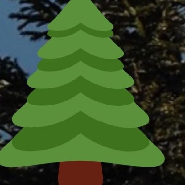 Phansad Wildlife Sanctuary – Maharashtra’s Coastal Forest Reserve