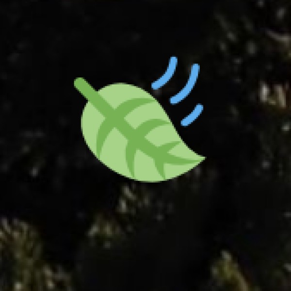 Wildlife Destinations in Odisha