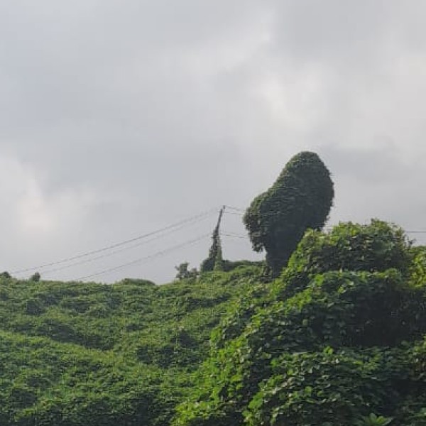 Best Time to Visit Wildlife Sanctuaries