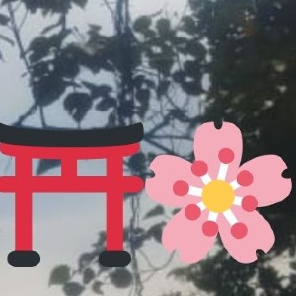 Why Visit Rajasthan for Wildlife & Nature?