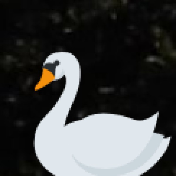 Askot Wildlife Sanctuary – A Lesser-Known Gem