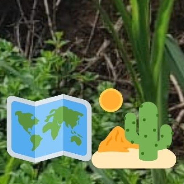 Top Wildlife & Nature Destinations in Rajasthan