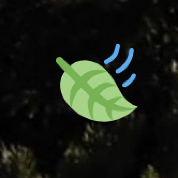 Best Time to Visit Wildlife Sanctuaries in Madhya Pradesh