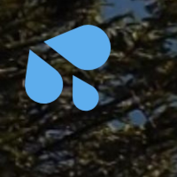 Gangotri National Park – Home to Rare Himalayan Fauna