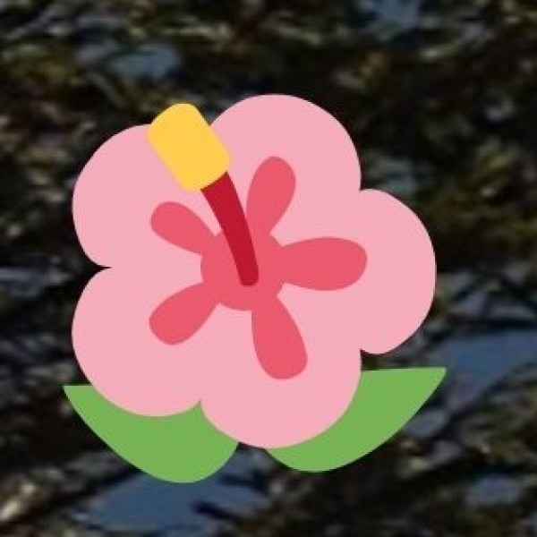 Kyongnosla Alpine Sanctuary – Land of Rare Orchids