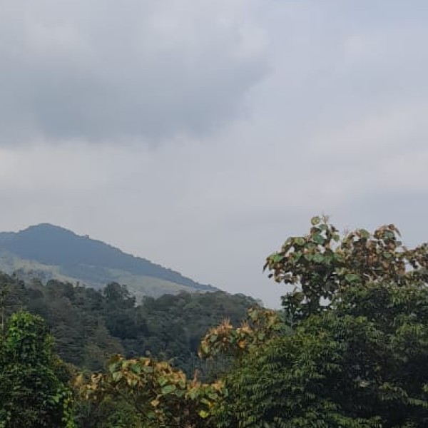 Wildlife & Nature in Sikkim