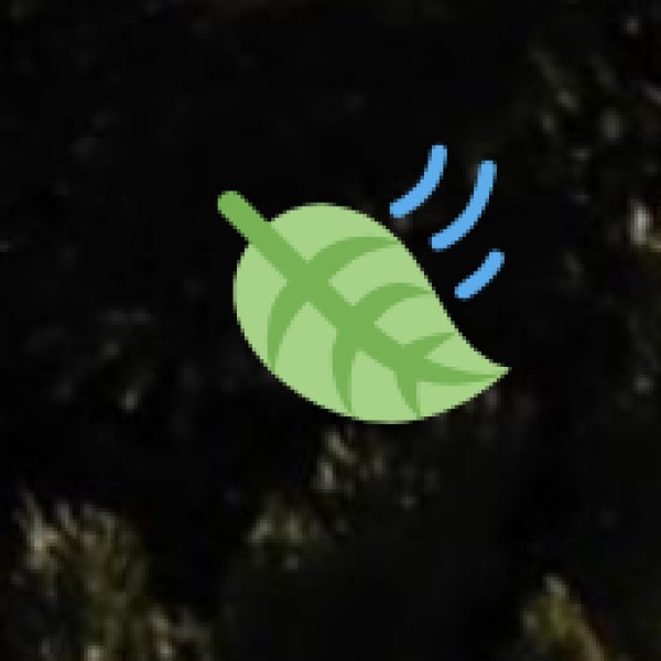 Bhagwan Mahavir Wildlife Sanctuary & Mollem National Park – Goa’s Largest Wildlife Reserve