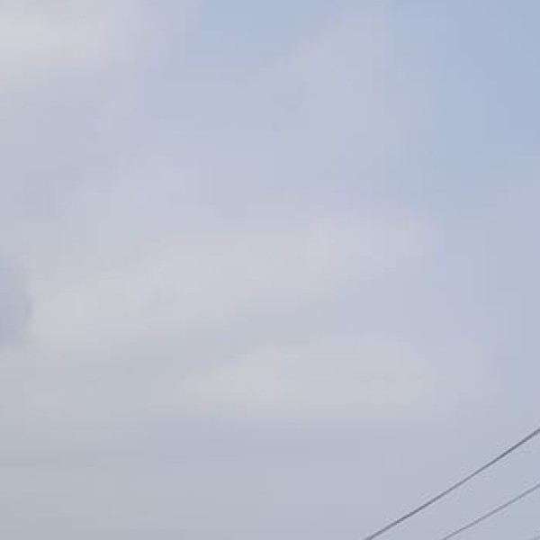 Doyang River (Nagaland Border) – Amur Falcon Migration Hotspot