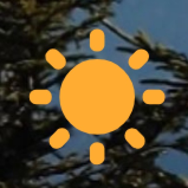 Bhadra Wildlife Sanctuary – A Hidden Gem