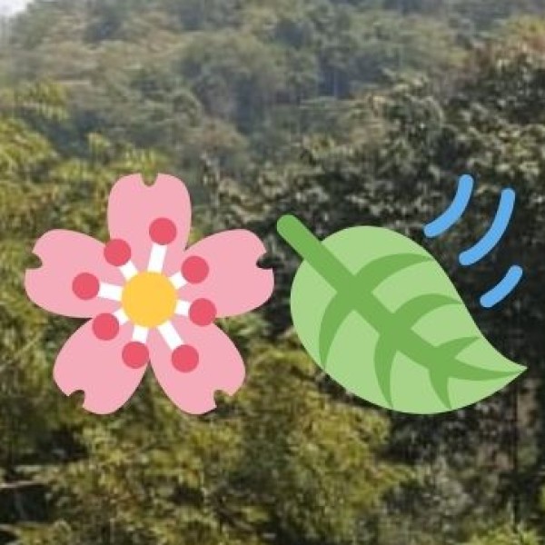 Buxa Tiger Reserve – A Wildlife & Trekking Haven