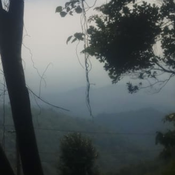 National Parks & Wildlife Sanctuaries
