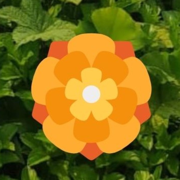 Gulf of Mannar Marine National Park – Ramanathapuram & Tuticorin