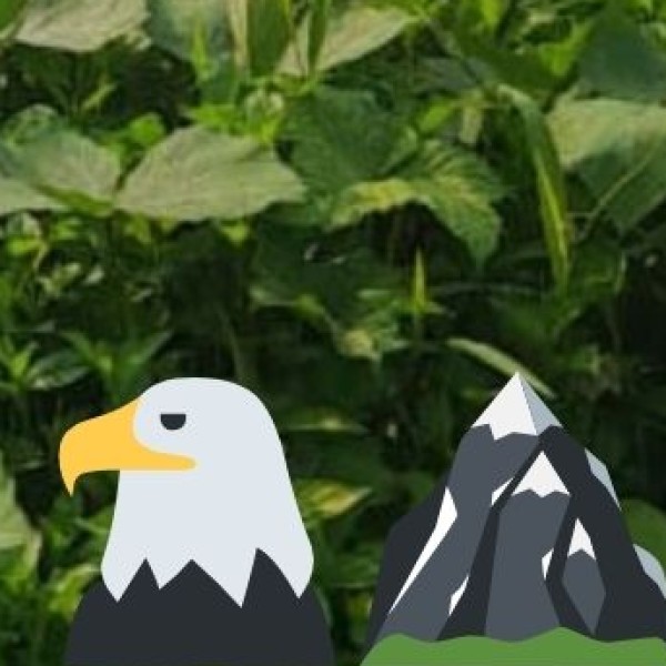 Guindy National Park – A Wildlife Haven in Chennai