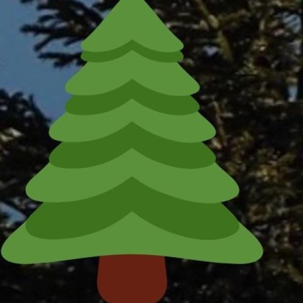 Gorumara National Park – The Grassland Paradise