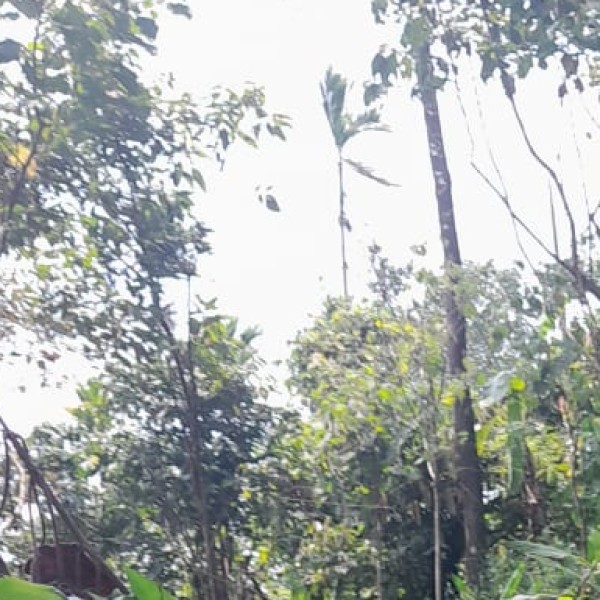 Famous Wildlife Sanctuaries