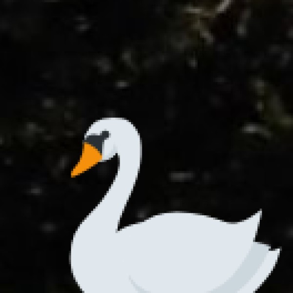 Pulicat Lake Bird Sanctuary