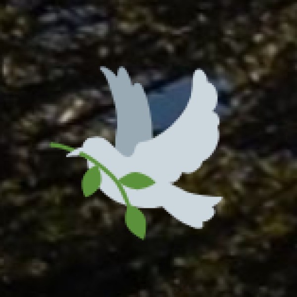 Kishtwar National Park (Jammu) – The Hidden Gem of the Himalayas