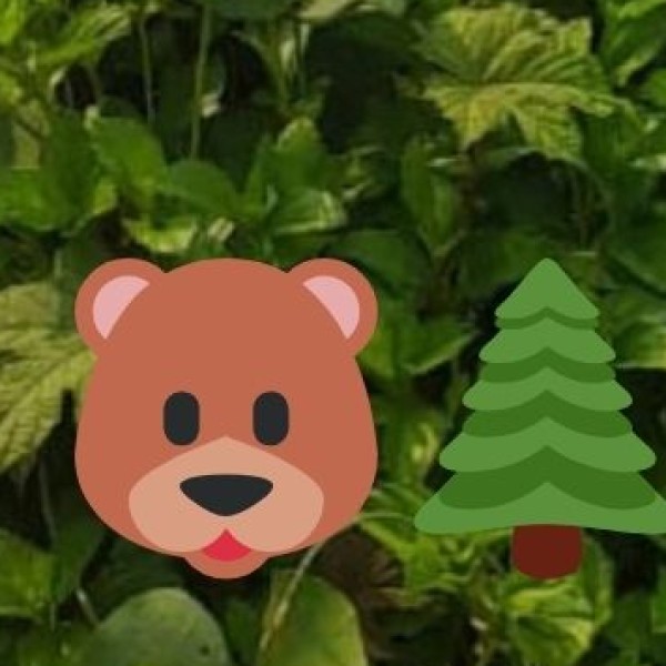 Best Wildlife Destinations in Himachal Pradesh