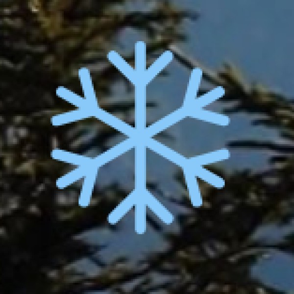 Wildlife & Nature – Where to Experience Odisha’s Natural Beauty