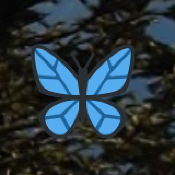 Fambong Lho Wildlife Sanctuary – A Nature Lover’s Paradise