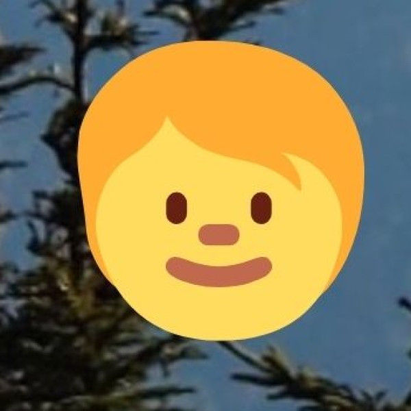 The Wild Side of Madhya Pradesh