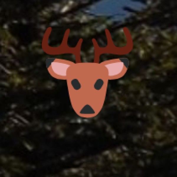 Coringa Wildlife Sanctuary