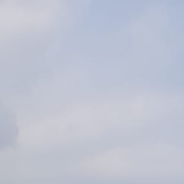 Golden Eagle – The King of the Skies