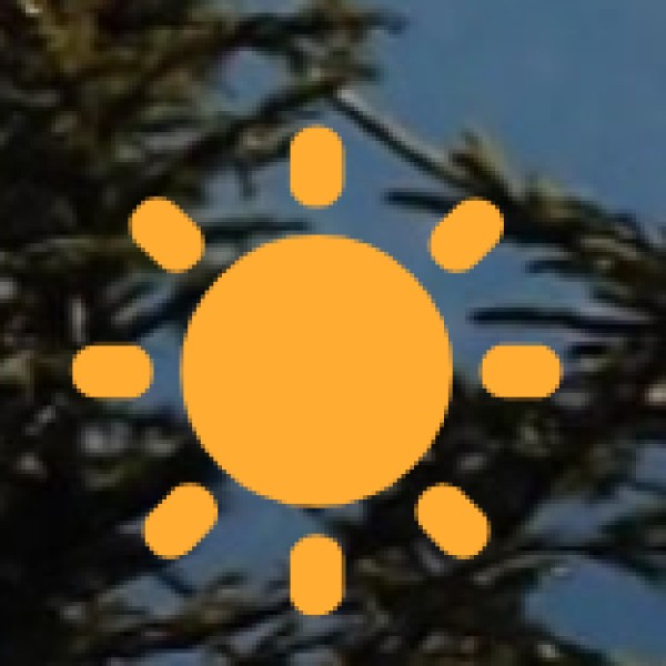 Cotigao Wildlife Sanctuary – Goa’s Hidden Jungle Escape