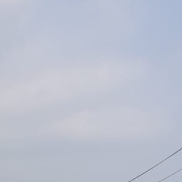 Vedanthangal Bird Sanctuary