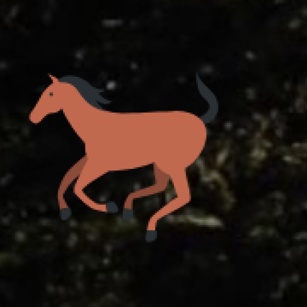 Jaldapara National Park – The Rhino Sanctuary