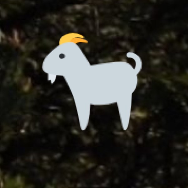 Eravikulam National Park