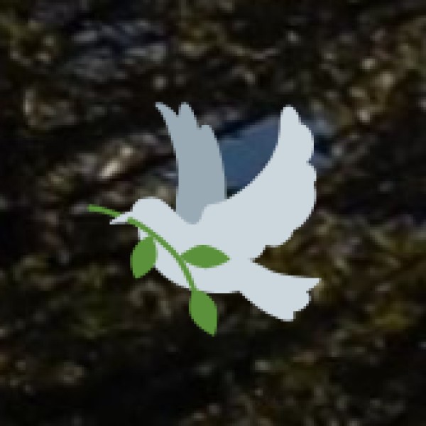 Pocharam Wildlife Sanctuary – A Birdwatcher’s Paradise