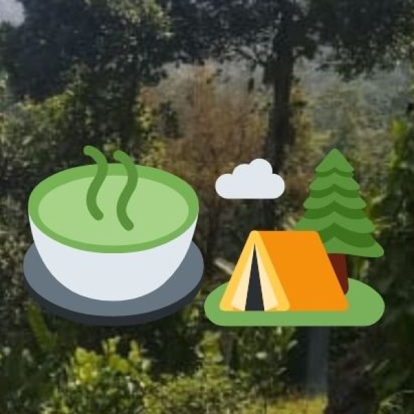 Why Ladakh is a Wildlife Lover’s Paradise?