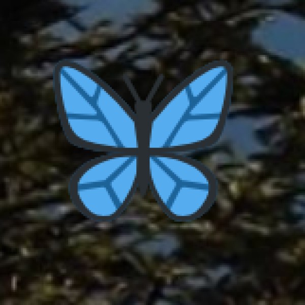 Nauradehi Wildlife Sanctuary – The Future Cheetah Home