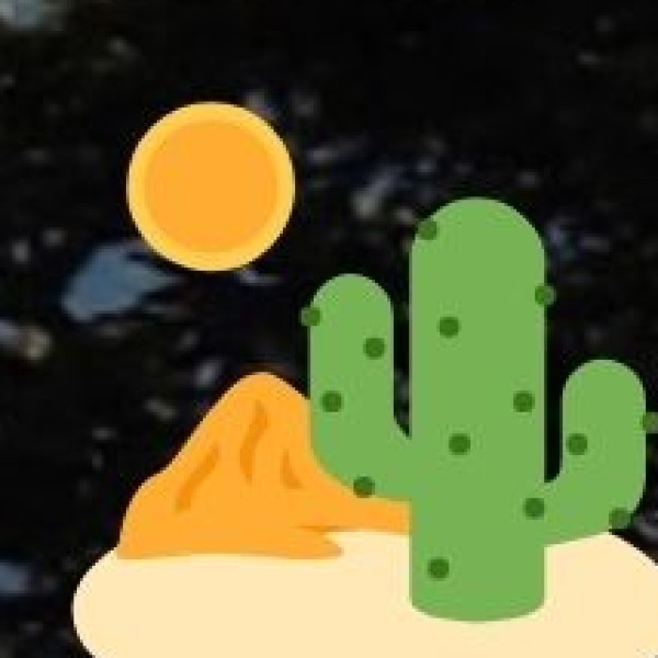 Why Visit Gujarat’s Wildlife Parks?