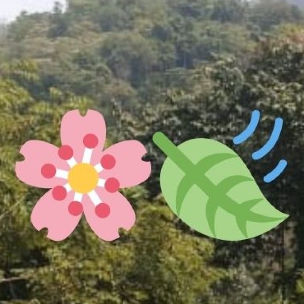 Kuno National Park – The Future Home of Cheetahs