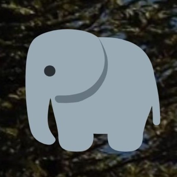 Rajaji National Park – Best for Elephant Safaris