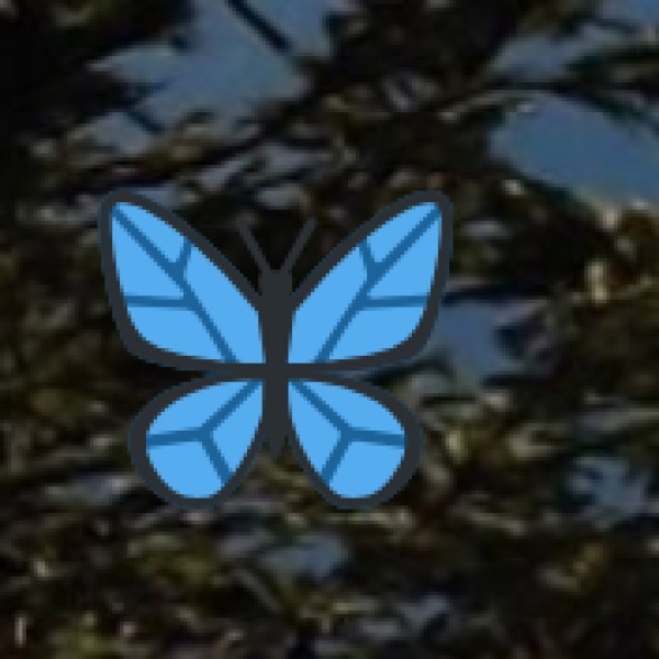 Hemis National Park (Ladakh) – The Snow Leopard Capital of India