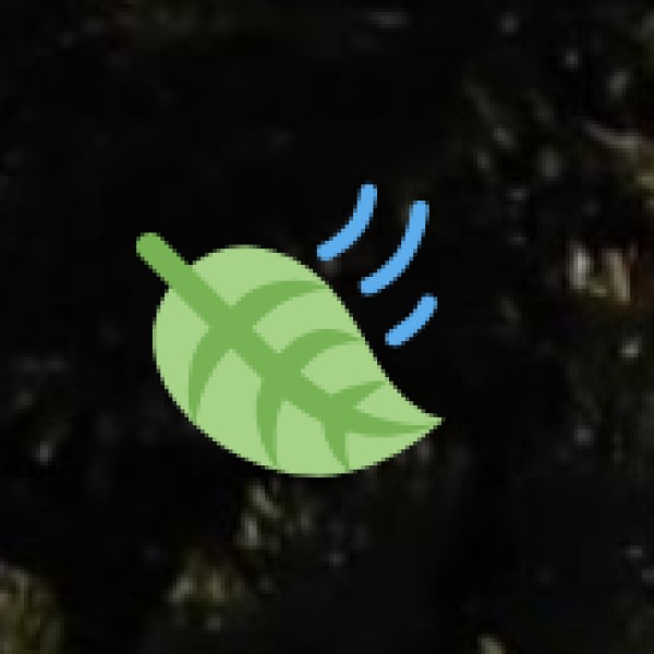 Eco Activities Offered: