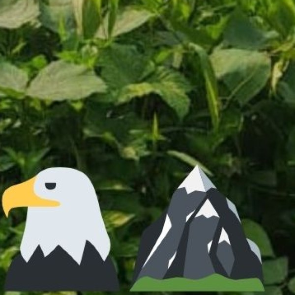 Krishna Wildlife Sanctuary