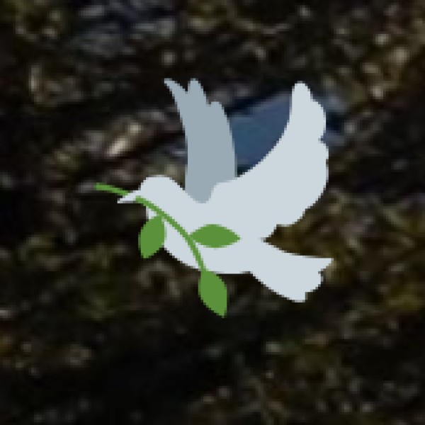 Vedanthangal Bird Sanctuary