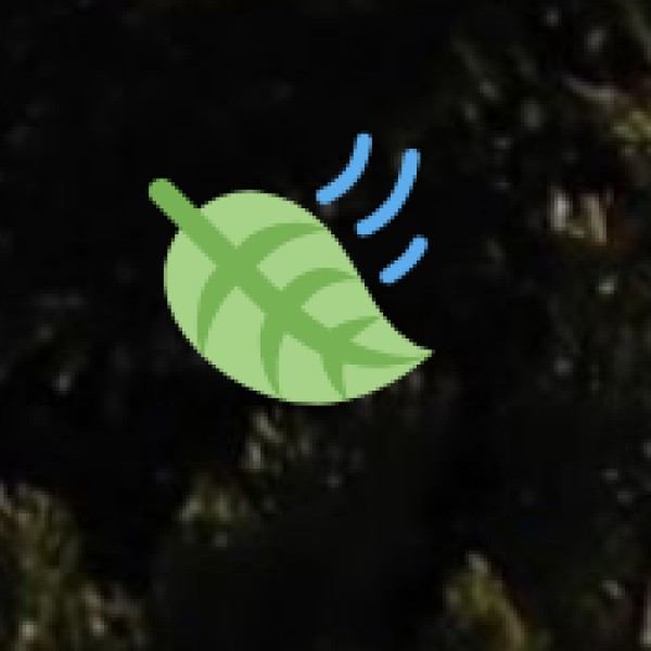 Nagarhole National Park – The Jewel of Kabini