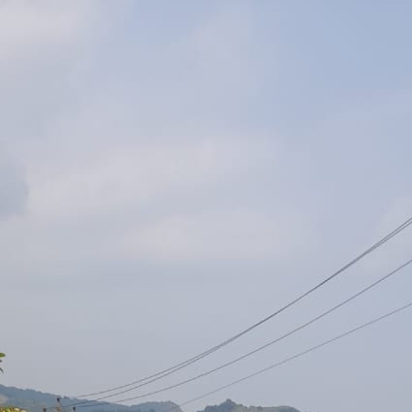 Ratapani Wildlife Sanctuary – A Birdwatcher's Paradise